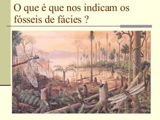 O que é que nos indicam os fósseis de fácies ? 