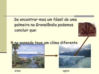 Se encontrar-mos um fóssil de uma palmeira na Gronelândia podemos concluir que: no passado teve um clima diferente antes agora 