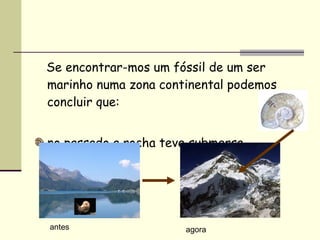 Se encontrar-mos um fóssil de um ser marinho numa zona continental podemos concluir que: no passado a rocha teve submersa  agora antes 