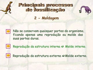 Principais processos  de fossilização 2 - Moldagem   Não se conservam quaisquer partes do organismo,  ficando  apenas  uma  reprodução  ou  molde  das  suas partes duras. Reprodução da estrutura interna    Molde interno.   Reprodução da estrutura externa   Molde externo.   