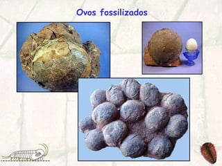 Ovos fossilizados   
