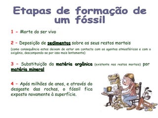Etapas de formação de  um fóssil 1 -  Morte do ser vivo 2 –  Deposição de  sedimentos  sobre os seus restos mortais (como consequência estes deixam de estar em contacto com os agentes atmosféricos e com o oxigénio, descompondo-se por isso mais lentamente) 4 –  Após milhões de anos, e através do desgaste das rochas, o fóssil fica exposto novamente à superfície. 3 –  Substituição da  matéria orgânica   (existente nos restos mortais)  por  matéria mineral 