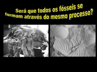 Será que todos os fósseis se formam através do mesmo processo? 