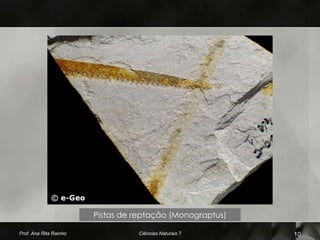 Pistas de reptação (Monograptus)

Prof. Ana Rita Rainho             Ciências Naturais 7      10
 