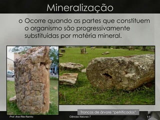 Mineralização
        o Ocorre quando as partes que constituem
          o organismo são progressivamente
          substituídas por matéria mineral.




                                     Troncos de árvore “petrificados”
Prof. Ana Rita Rainho       Ciências Naturais 7                         17
 