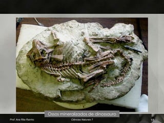 Ossos mineralizados de dinossauro
Prof. Ana Rita Rainho              Ciências Naturais 7      18
 