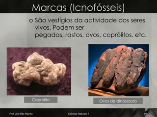 Marcas (Icnofósseis)
                 o São vestígios da actividade dos seres
                   vivos. Podem ser
                   pegadas, rastos, ovos, coprólitos, etc.




                    Coprólito                         Ovos de dinossauro


Prof. Ana Rita Rainho           Ciências Naturais 7                        22
 