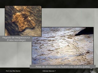 Pegada de Megalosaurus
   (Cabo Mondego)




                          Pistas de dinossauro na Pedreira do Galinha (Leiria)
  Prof. Ana Rita Rainho         Ciências Naturais 7                              23
 