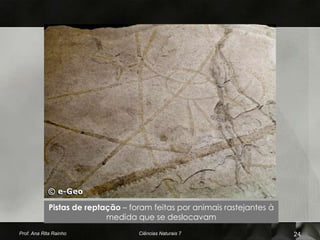 Pistas de reptação – foram feitas por animais rastejantes à
                            medida que se deslocavam
Prof. Ana Rita Rainho               Ciências Naturais 7                    24
 
