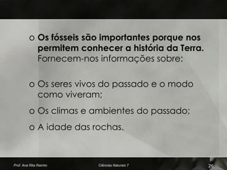 o Os fósseis são importantes porque nos
           permitem conhecer a história da Terra.
           Fornecem-nos informações sobre:

         o Os seres vivos do passado e o modo
           como viveram;
         o Os climas e ambientes do passado;
         o A idade das rochas.



Prof. Ana Rita Rainho   Ciências Naturais 7         26
 