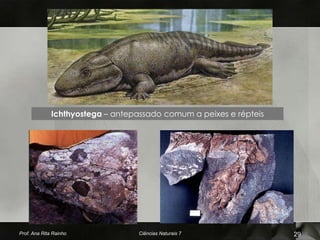 Ichthyostega – antepassado comum a peixes e répteis




Prof. Ana Rita Rainho              Ciências Naturais 7              29
 