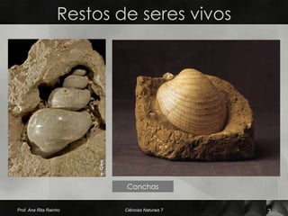Restos de seres vivos




                            Conchas


Prof. Ana Rita Rainho      Ciências Naturais 7   3
 