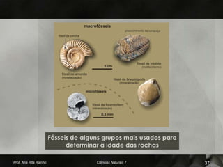 Fósseis de alguns grupos mais usados para
                              determinar a idade das rochas

Prof. Ana Rita Rainho                  Ciências Naturais 7          37
 