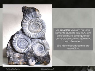 As amonites viveram na Terra
                                              somente durante 185 m.A., um
                                               período muito curto quando
                                              comparado com os 4600 m.A.
                                                     que a Terra tem.
                                               São identificadas com a era
                                                       Mesozóica.




Prof. Ana Rita Rainho   Ciências Naturais 7                             38
 