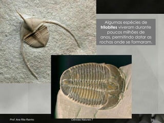 Algumas espécies de
                                               trilobites viveram durante
                                                    poucos milhões de
                                               anos, permitindo datar as
                                              rochas onde se formaram.




Prof. Ana Rita Rainho   Ciências Naturais 7                             39
 