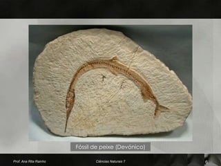 Fóssil de peixe (Devónico)

Prof. Ana Rita Rainho          Ciências Naturais 7   6
 