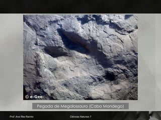 Pegada de Megalossauro (Cabo Mondego)

Prof. Ana Rita Rainho                Ciências Naturais 7        9
 