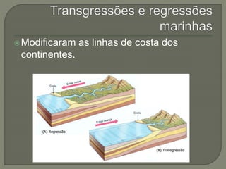 Modificaram as linhas de costa dos 
continentes. 
 