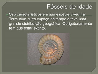  São característicos e a sua espécie viveu na 
Terra num curto espaço de tempo e teve uma 
grande distribuição geográfica. Obrigatoriamente 
têm que estar extinto. 
 