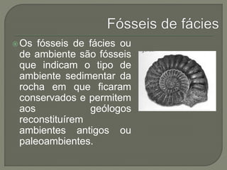 Os fósseis de fácies ou 
de ambiente são fósseis 
que indicam o tipo de 
ambiente sedimentar da 
rocha em que ficaram 
conservados e permitem 
aos geólogos 
reconstituírem 
ambientes antigos ou 
paleoambientes. 
 