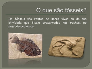  Os fósseis são restos de seres vivos ou da sua 
atividade que ficam preservados nas rochas, no 
passado geológico. 
 