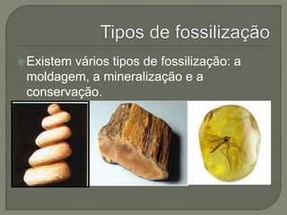 Existem vários tipos de fossilização: a 
moldagem, a mineralização e a 
conservação. 
 