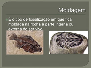 É o tipo de fossilização em que fica 
moldada na rocha a parte interna ou 
externa do ser vivo. 
 