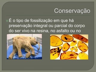 É o tipo de fossilização em que há 
preservação integral ou parcial do corpo 
do ser vivo na resina, no asfalto ou no 
gelo. 
 