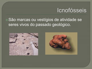 São marcas ou vestígios de atividade se 
seres vivos do passado geológico. 
 