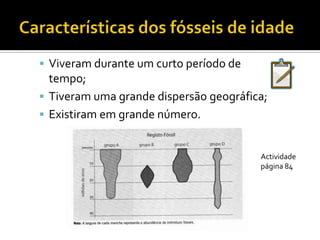 Fóssil de IdadePermite determinar a idade das rochas onde se encontram. trilobite