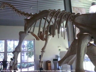 Fósseis de dinossauros do museu arqueológico de Peirópolis em Uberaba/MG, dez. 2013.
 