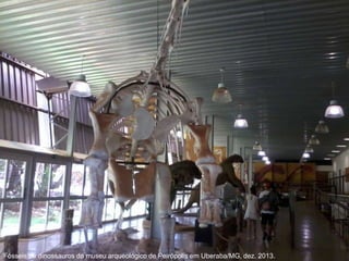 Fósseis de dinossauros do museu arqueológico de Peirópolis em Uberaba/MG, dez. 2013.
 