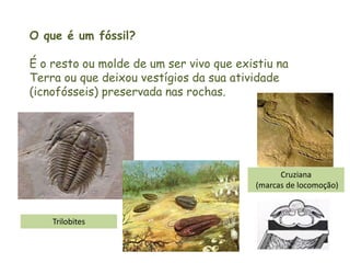O que é um fóssil?
É o resto ou molde de um ser vivo que existiu na
Terra ou que deixou vestígios da sua atividade
(icnofósseis) preservada nas rochas.
Trilobites
Cruziana
(marcas de locomoção)
 