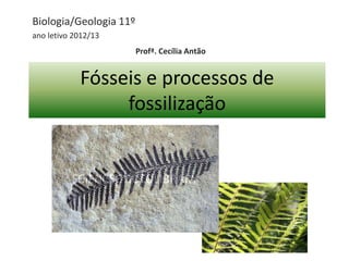 Fósseis e processos de
fossilização
Biologia/Geologia 11º
ano letivo 2012/13
Profª. Cecília Antão
 