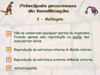 Principais processos de fossilização2 - MoldagemNão se conservam quaisquer partes do organismo,     ficando  apenas  uma  reprodução  ou  molde  das suas partes duras.Reprodução da estrutura interna  Molde interno.Reprodução da estrutura externa Molde externo.Contramolde