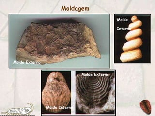 Molde InternoMolde ExternoMolde ExternoMolde InternoMoldagem