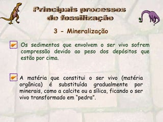 Principais processos de fossilização3 - MineralizaçãoOs sedimentos que envolvem o ser vivo sofrem compressão devido ao peso dos depósitos que estão por cima.A matéria que constitui o ser vivo (matéria orgânica) é substituída gradualmente por minerais, como a calciteou a sílica, ficando o ser vivo transformado em “pedra”.