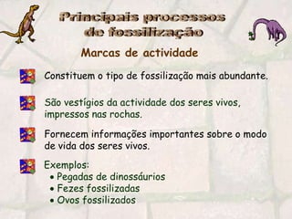 Principais processos de fossilizaçãoMarcas de actividadeConstituem o tipo de fossilização mais abundante.São vestígios da actividade dos seres vivos, impressos nas rochas.Fornecem informações importantes sobre o modo de vida dos seres vivos.Exemplos:   Pegadas de dinossáurios   Fezes fossilizadas   Ovos fossilizados