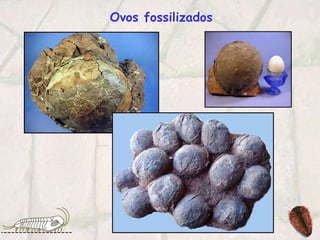 Ovos fossilizados