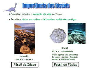 Coral500 M.a. – ActualidadeVivem apenas em ambientes de águas calmas, límpidas, quentese pouco profundasAmonite248 M.a. – 65 M.a.Importância dos fósseis Permitem estudar a evolução da vidana TerraPermitem datar as rochase determinar ambientes antigos.Fóssil de IdadeFóssil de Fácies