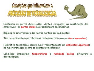 Condições que influenciam oPROCESSO DE FOSSILIZAÇÃOExistência de partes duras (ossos, dentes, carapaças) na constituição dos seres vivos – as partes moles são rapidamente decompostas;Rapidez no soterramento dos restos mortais por sedimentos;Tipo de sedimentos que cobrem os restos mortais (devem ser finos e impermeáveis)Habitat (a fossilização ocorre mais frequentemente em ambientes aquáticos) – há maior protecção contra os agentes atmosféricos;Condições ambientais: temperaturas e humidadebaixas dificultam a decomposição;