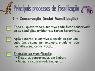 Principais processos de fossilização1 – Conservação (inclui Mumificação)Todo ou quase todo o ser vivo pode ficar conservado, se as condições ambientais forem favoráveis. Após a morte, o ser vivo é envolvido por uma substância como, por exemplo, o gelo, o   que permite a sua conservação.Exemplos de mumificação:   Insectos conservados em âmbar.   Mamutes conservados no gelo.