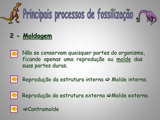 Principais processos de fossilização2 - MoldagemNão se conservam quaisquer partes do organismo,     ficando  apenas  uma  reprodução  ou  molde  das suas partes duras.Não se conservam quaisquer partes do organismo,     ficando  apenas  uma  reprodução  ou  molde  das suas partes duras.Reprodução da estrutura interna  Molde interno.Reprodução da estrutura externa Molde externo.Contramolde