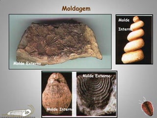 Molde InternoMolde ExternoMolde ExternoMolde InternoMoldagem