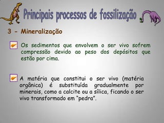 Principais processos de fossilização3 - MineralizaçãoOs sedimentos que envolvem o ser vivo sofrem compressão devido ao peso dos depósitos que estão por cima.A matéria que constitui o ser vivo (matéria orgânica) é substituída gradualmente por minerais, como a calciteou a sílica, ficando o ser vivo transformado em “pedra”.