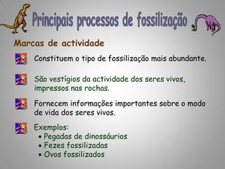 Principais processos de fossilizaçãoMarcas de actividadeConstituem o tipo de fossilização mais abundante.São vestígios da actividade dos seres vivos, impressos nas rochas.Fornecem informações importantes sobre o modo de vida dos seres vivos.Exemplos:   Pegadas de dinossáurios   Fezes fossilizadas   Ovos fossilizados