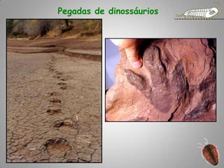 Pegadas de dinossáurios