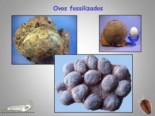 Ovos fossilizados