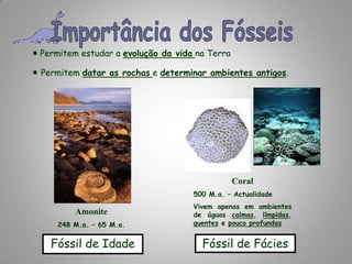Coral500 M.a. – ActualidadeVivem apenas em ambientes de águas calmas, límpidas, quentese pouco profundasAmonite248 M.a. – 65 M.a.Importância dos Fósseis Permitem estudar a evolução da vidana TerraPermitem datar as rochase determinar ambientes antigos.Fóssil de IdadeFóssil de Fácies