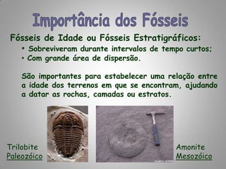 Importância dos FósseisFósseis de Idade ou Fósseis Estratigráficos:Sobreviveram durante intervalos de tempo curtos;